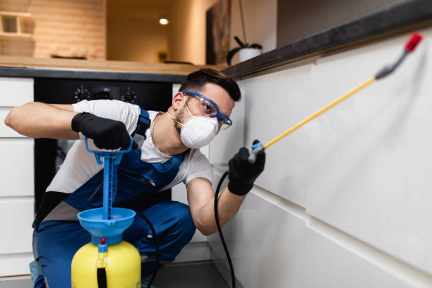 Flea Control Services in Zumbrota, MN