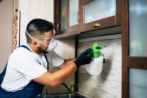 Best Best Pest Control Companies  in Zumbrota, MN