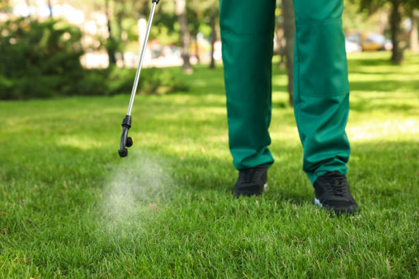 Best Exterminator Services  in Zumbrota, MN